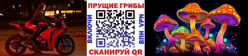 наркотики  Отрадная  Псилоцибиновые грибы мицелий 
